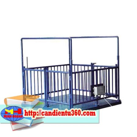 Những ưu việt khi sử dụng cân động vật